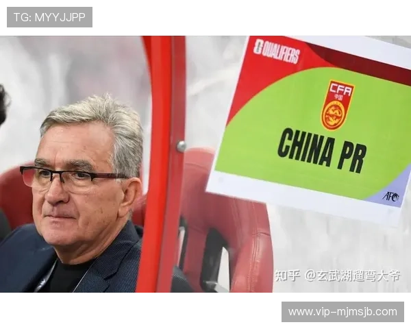 2026年世界杯中国赞助商合作案例分享及成功经验总结