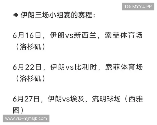 最新世界杯奖金分配方案公布：如何确保各参赛国家公平获益的详细策略