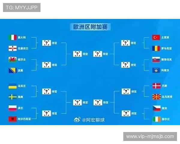 足球世界杯预选赛欧洲赛区比赛规则详解，帮助球迷理解比赛流程与晋级标准