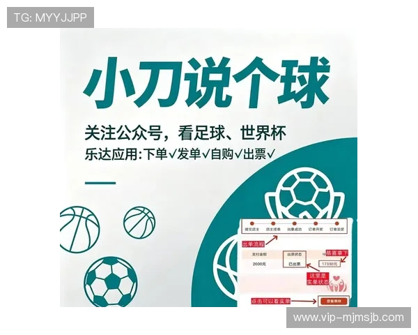 2026年世界杯买球网站界面设计与操作体验优化建议