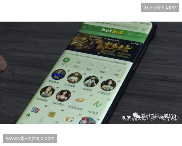 bet买球网赌盘的法律风险与合规性分析，指导玩家合法合规进行网络投注避免法律纠纷